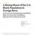 foreign born black population