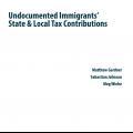 undocumented taxes